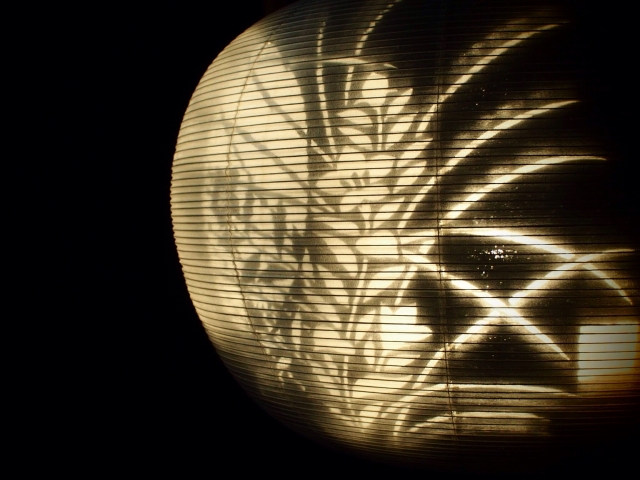 Botan Dōrō (The Peony Lantern) A lantern sways gently through the darkness, revealing the quiet beauty hidden within a Japanese ghost story.