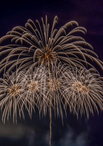 A golden firework illuminating the night sky, symbolizing the beauty of summer evenings in Japan and the history behind this beloved tradition.