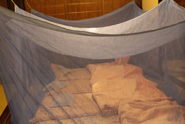 A traditional Japanese room prepared for a summer night, with futons laid beneath a mosquito net.