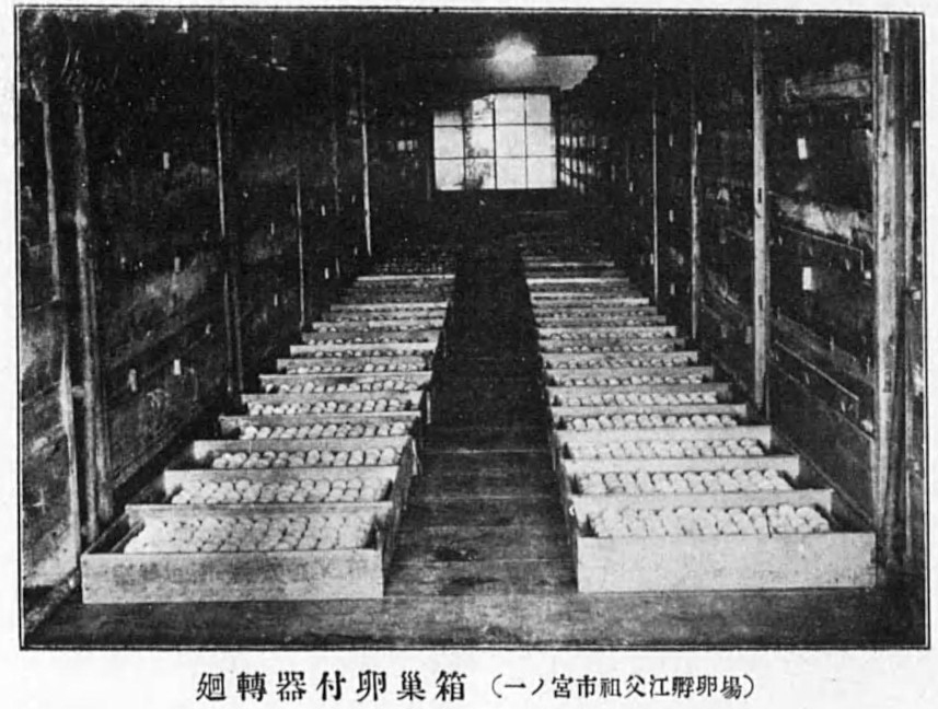Egg crates equipped with a rotating mechanism, designed for handling and transporting large quantities of eggs.