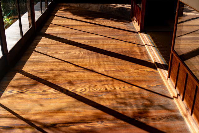 Winter sunlight turned the engawa into a small haven of warmth.