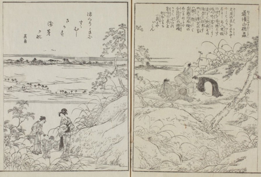 “Dōkan-zan Mushikiki” (Listening to Insects at Dōkan-zan), from Edo Meisho Zue, Vol. 5 Edited by Saitō Chōshū; illustrated by Hasegawa Settan; published 1834–1836 Source: Tokyo Metropolitan Library