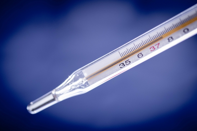 A mercury thermometer once commonly used in Japanese households. By reading the scale, people could measure their body temperature as a number.