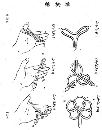 Kiuchi, Kikujirō , Jitsuyō Hanamusubi: Furoku Uchihimo . Source: National Diet Library Digital Collections.